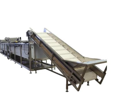 Chine Robust Food Grade Fruit Processing Line Production Capacity Customization à vendre