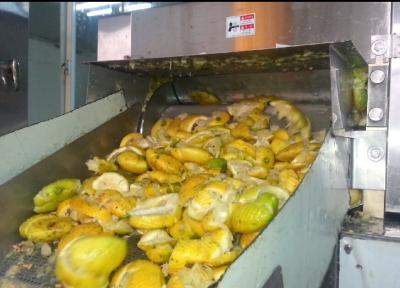 Китай Автоматическая линия по производству ананасового фруктового сока для мытья и производства целлюлозы из фруктового сока продается