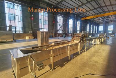 中国 1-3 ton/h Mango Pretreating Line Aseptic Bag Bottle Mango Pulp Processing Machinery 販売のため