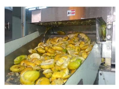 China Línea de producción de zumo de fruta de manzana y piña con una capacidad mínima de 500 litros por hora en venta