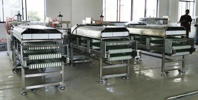 China máquina del fabricante de la tortilla de maíz 600pcs/h, máquina de amos resistente de la tortilla de agua en venta