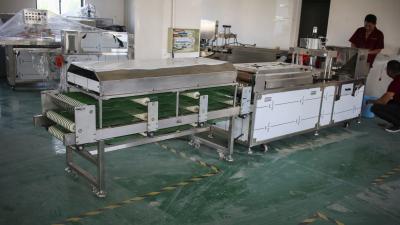 China Factory Chapati Manufacturing Machine , 100mm Corn Tortilla Machine for sale