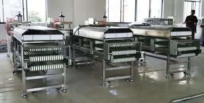 Κίνα Αραβικός Pita κατασκευαστής ψωμιού Intellectualization 900pcs/h προς πώληση