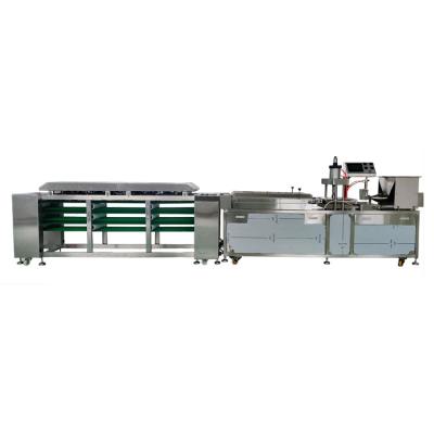China 100g Industrial Tortilla Making Machine , 3600pcs/h Tortilla Bread Machine for sale