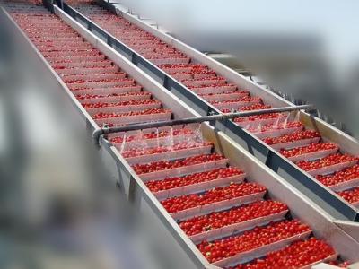 中国 25t/h Automatic Tomato Paste Manufacturing Machine With 150kw Fruit Processing Line 販売のため