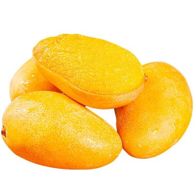 中国 50マンゴ ジュース ソースのりの込み合いの生産ライントン/Hかカスタム化 販売のため