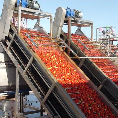 China 6.5tons pela linha de produção crua da pasta de tomate da hora à venda
