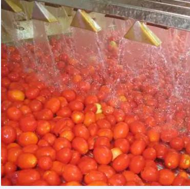 China Línea de transformación automática de la pasta de tomate velocidad en venta