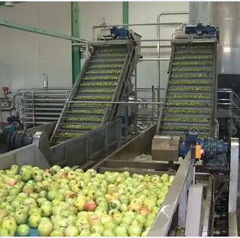 China Natural Flavor Mango Processing Line 63% Brix for sale