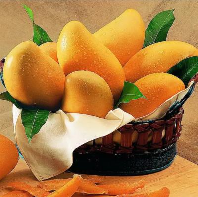 中国 220V / 380V / 440V Fruit Juice Filling Machine Production Line For Mango 販売のため