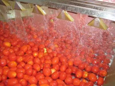 China Fresh Tomato Ketchup Jam Paste Sauce Processing Line for sale