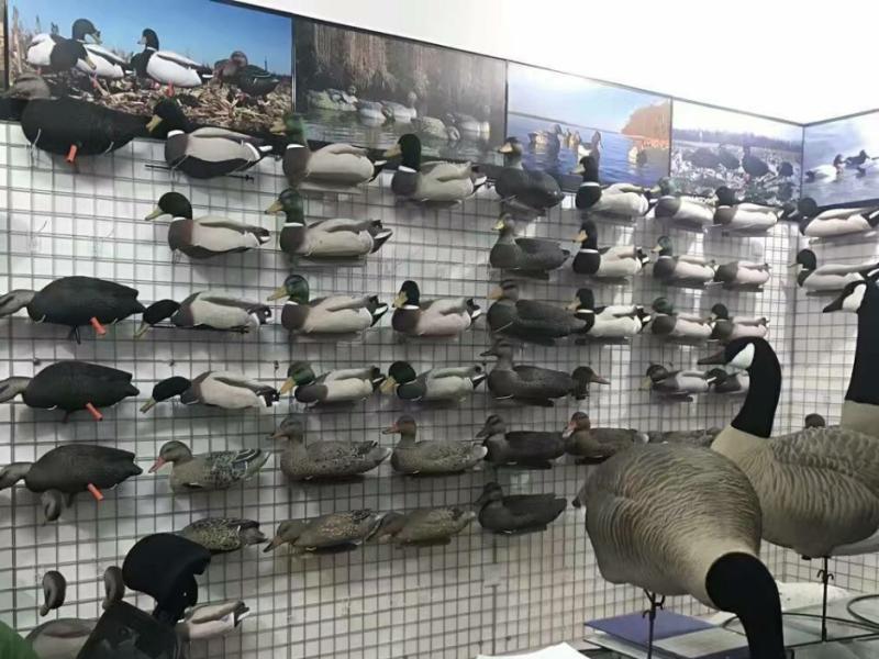 Verified China supplier - Sunrise Flying Company Ltd