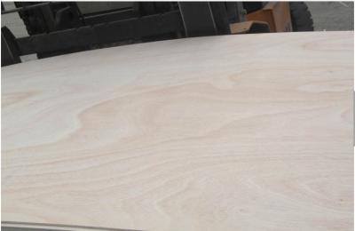 China Okoume plywood, birch plywod, pine plywood, bintangor plywood,keruing plywood, all kinds of commercial plywood for sale
