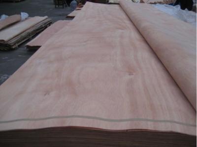 China Natural wood veneer/ PLB veneer/ Gurjan veneer , Rotary cut natural wood veneer for sale