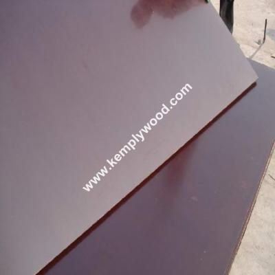 China Concrete Film Faced Plywood Phenolic Film Faced Plywood,building film faced board, contruction wood timber for sale