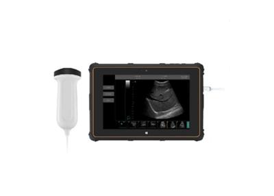 Chine Scanner portatif d'ultrason de scanner d'ultrason de B avec B, B+B, connexion d'USB de mode de B+M à vendre