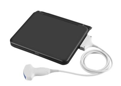 Chine Le scanner médical diagnostique d'ultrason d'ordinateur portable d'ultrason de 12 pouces LED avec une sonde relient le logiciel de vétérinaire disponible à vendre