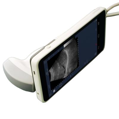China Peso 550g Handheld portátil da máquina do ultrassom da ponta de prova ultrassônica do transdutor somente à venda