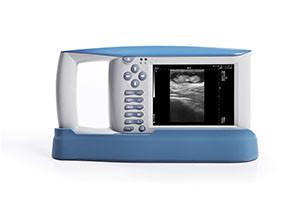 China USB Diagnostic Ultrasound Equipment With OB Software For Animals And 100 Images Storage for sale