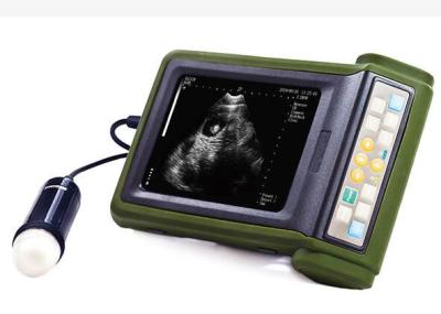 China Portable Veterinary Ultrasound Scanner With 3.5MHz Waterproof Mechanical Sector Probe for sale