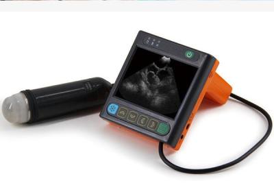 China Digital Mechanical Sector Vet Ultrasound Scanner For Pig Sheep Dog Only 620g Weight for sale