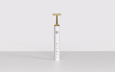 China 3.7V Three Replaceable Heads IPX7 Electric Toothbrush for sale