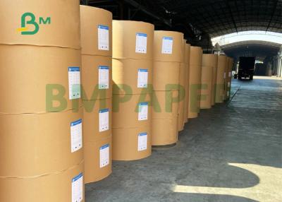 China 210+15g PE Coated Cup Paper For Coffee Shop 700mm 900mm Good Brightness for sale