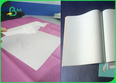 China El papel libre 100% de la piedra del cuaderno de la prenda impermeable del árbol reciclable cubrió en venta