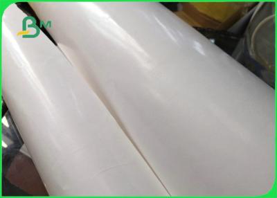 China Biodegradable Single PE Laminated Coated Paper Jumbo Roll For Food Wrapping Paper for sale