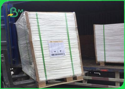 China 300g C1S Coated Board Coated 15g Poly 700 * 1000mm For Chips Packing Box for sale