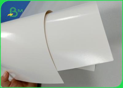 China Width 708mm 300gsm + 15g PE CIS Ivory Board Poly Coated Paper For Lunch Box for sale
