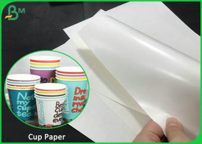China 230 Gsm + 15gsm PE Coated Waterproof White Kraft Paper For Paper Cup And Plates for sale
