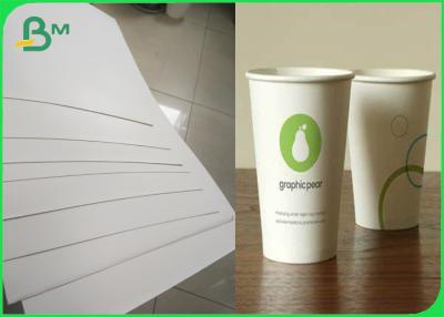 China Fully Renewable Cupstock Paper Rolls Coated Polyethylene 180g + 10gsm for sale