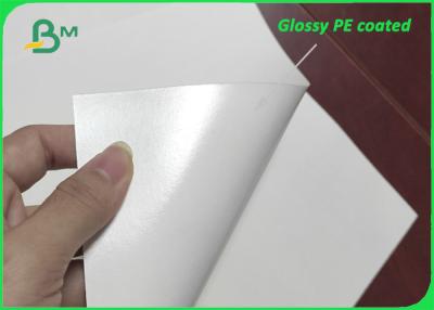 China Glossy Single Side PE Film Coated Paper 280g + 15g PE For Paper Cups for sale