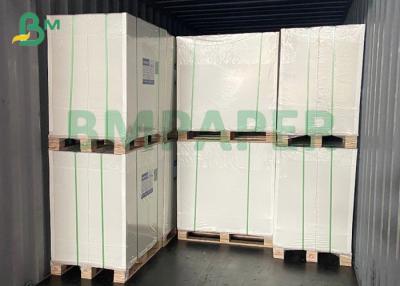 China White Plain Paper Tea Coffee Drinking Cups Paper PE Coated 250gsm + 15g for sale