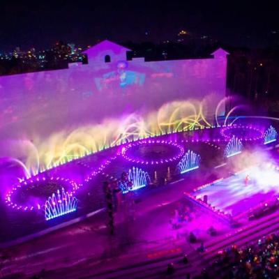 China Vietnam Show Water Dancing Fountain Musical Signal Control for sale