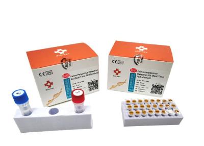 China Lep Feline Cat Test Kit DNA Polymerase Feline Leptospira Test Kit PCR Amplification for sale