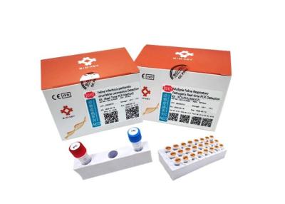 中国 RT QPCRのネコ科の伝染性の腹膜炎テストTaq DNAネコ科のCoronavirusテスト キット 販売のため