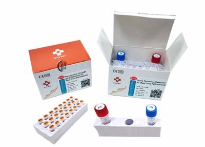 中国 ブタのPseudorabiesのウイルスのブタの検出のキットPRV GB DNA Qpcr Taqmanのキット 販売のため