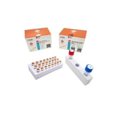 China Canine Babesiosis Pcr Kit EDTA Nucleic Acid Testing Kit PCR Fluorescent for sale