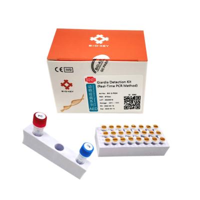China PCR Dog Giardia Test Kit Fluorescent Probe Canine Dog Test Kit Nucleic Acid for sale