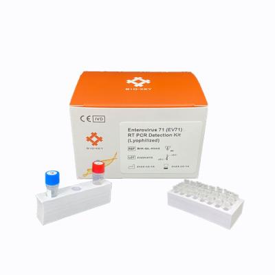 China RT PCR Enterovirus 71 Rapid Test Kit  Lyophilized DNA Detection Kit for sale