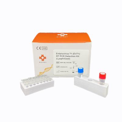 Chine Le kit diagnostique en temps réel de détection de l'ACP RT-PCR de l'entérovirus EV71 a lyophilisé à vendre