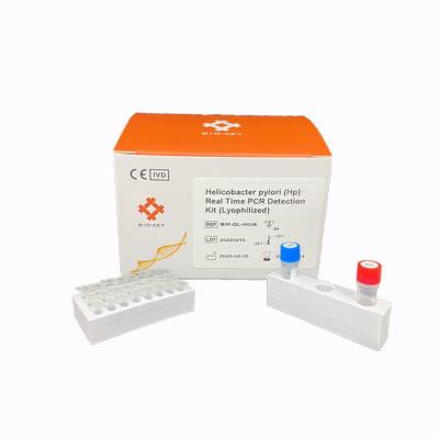 China Gastrointestinal Disease Molecular Diagnostic Helicobacter Pylori  Hp PCR Detection Kit for sale