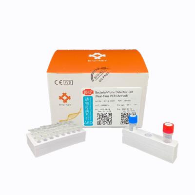 China Aquaculture Bacterial Vibrio detection Medical Laboratory Real Time PCR Diagnostic Kit for sale