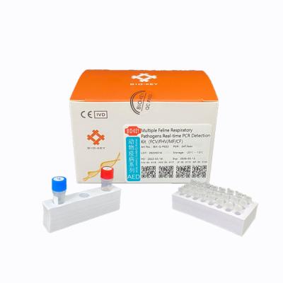 China PCR Feline Herpesvirus Test Probe Kits Cat Test Chlamydia Fluorescence for sale