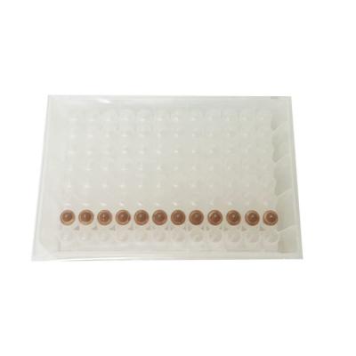 China ISO13485 Magnetic Bead Rapid Virus Extraction Kit 48 Samples RNA Extraction Kit for sale