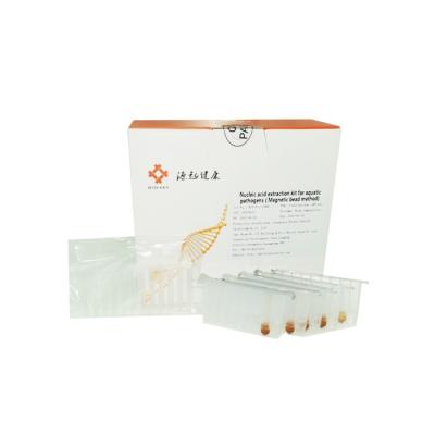 China ISO13485 Nucleic Acid Extraction Kit Magnetic Bead DNA RNA Extraction Kit for sale
