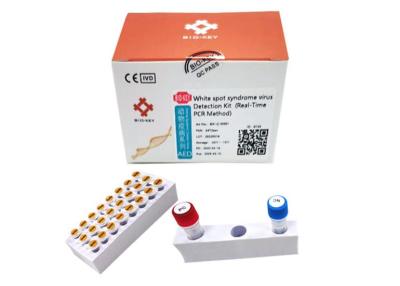 Κίνα Άσπρη PCR Baculovirus γαρίδων εξαρτήσεων δοκιμής ιών WSSV συνδρόμου σημείων γρήγορη εξάρτηση προς πώληση