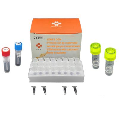 中国 アフリカ豚コレラ ブタ テスト キットASFV実時間PCR急速なテスト キット 販売のため